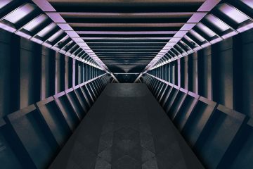 An alien hallway.