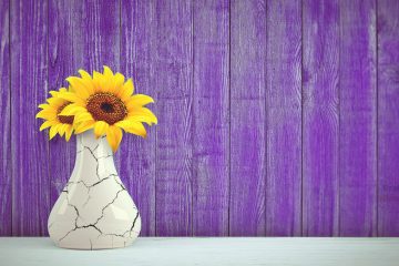 A cracked vase contains bright sunflowers in front of a purple background.